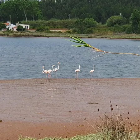 Lagoavista *